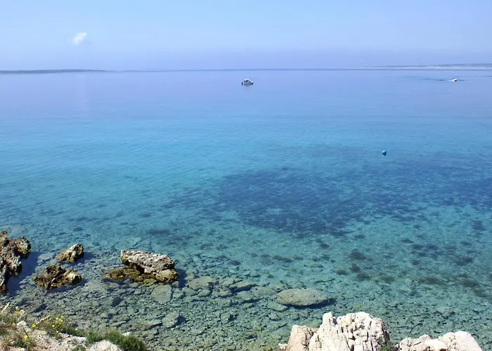 Apartman Studio Mandre 4101b *